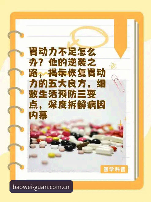 梅里诺专访全面解析：伤势恢复进展与欧冠决赛备战内幕深度分析